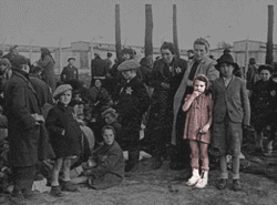 Ebrei ad Auschwitz-Birkenau