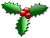 Logo Auguri Natale